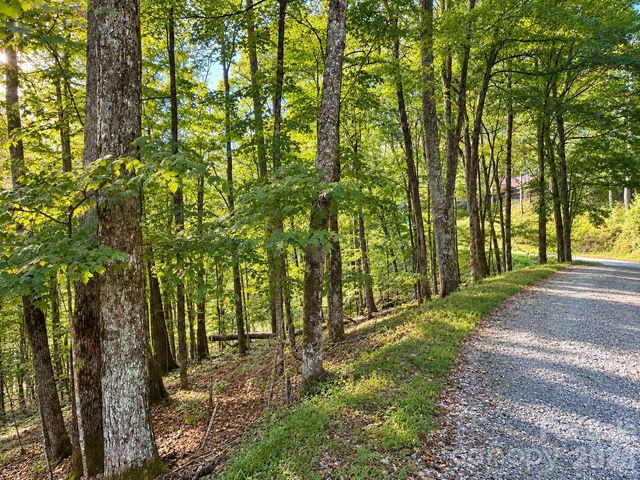 LOT 115 Sugar Tree Lane 115, Mars Hill, NC 28754