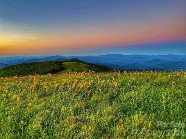 LOT 115 Sugar Tree Lane 115, Mars Hill, NC 28754