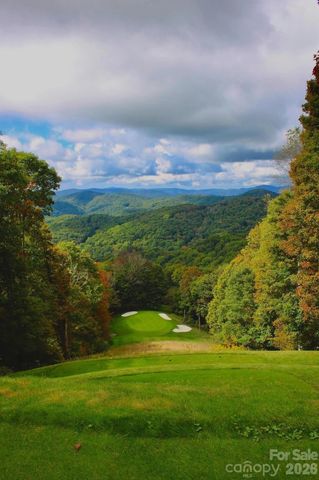 LOT 115 Sugar Tree Lane 115, Mars Hill, NC 28754