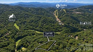LOT 115 Sugar Tree Lane 115, Mars Hill, NC 28754