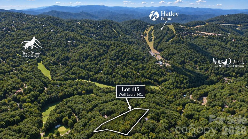 LOT 115 Sugar Tree Lane 115, Mars Hill, NC 28754
