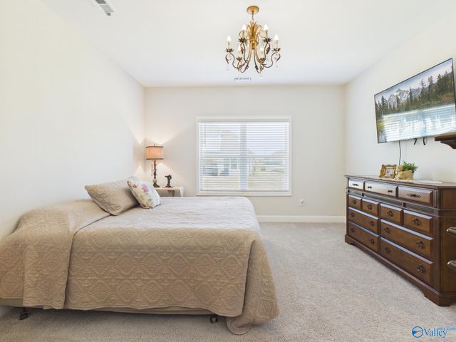 29433 Canoe Circle, Harvest, AL 35749