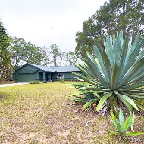 21271 SW Marine Boulevard, Dunnellon, FL 34431