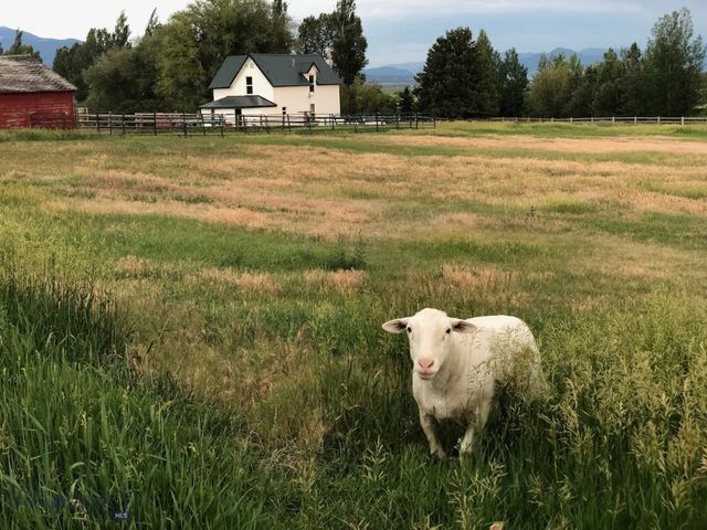 477 Reese Creek Road, Belgrade, MT 59714