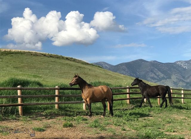 477 Reese Creek Road, Belgrade, MT 59714