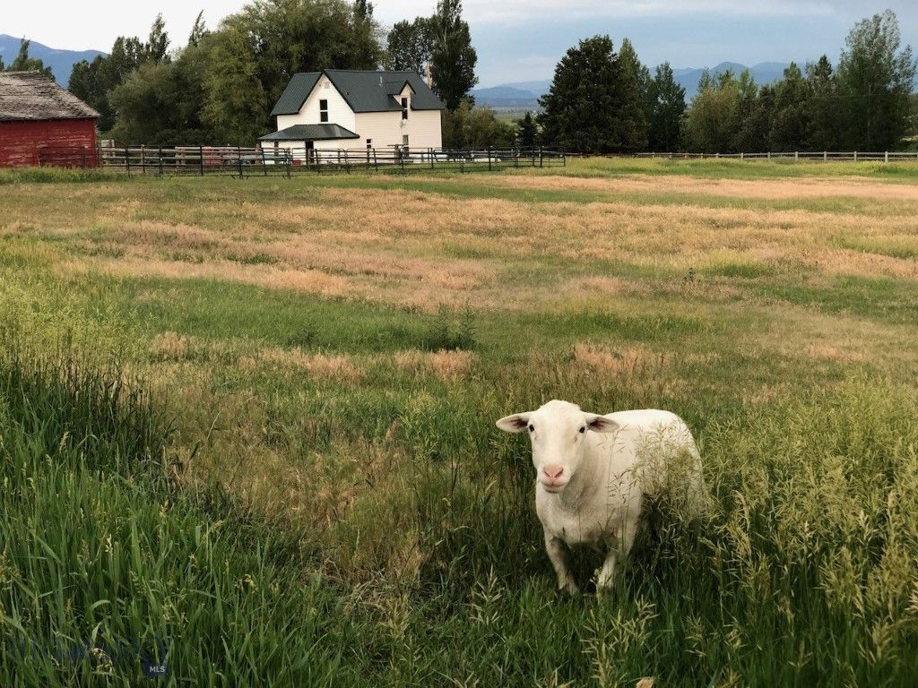 477 Reese Creek Road, Belgrade, MT 59714 photo 33