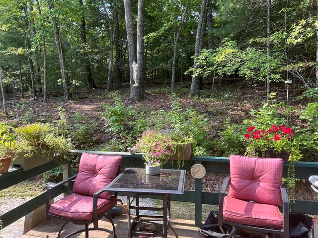 136 Tall Oaks Trail, Blairsville, GA 30512