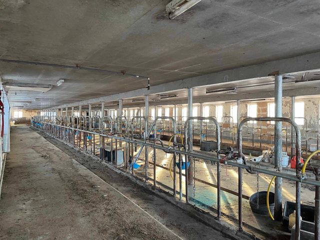 338 Johnson Road, Marshfield, VT 05658