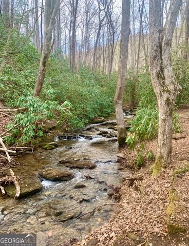 1554 Creek Road, Hiawassee, GA 30546