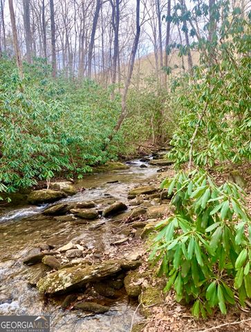 1554 Creek Road, Hiawassee, GA 30546