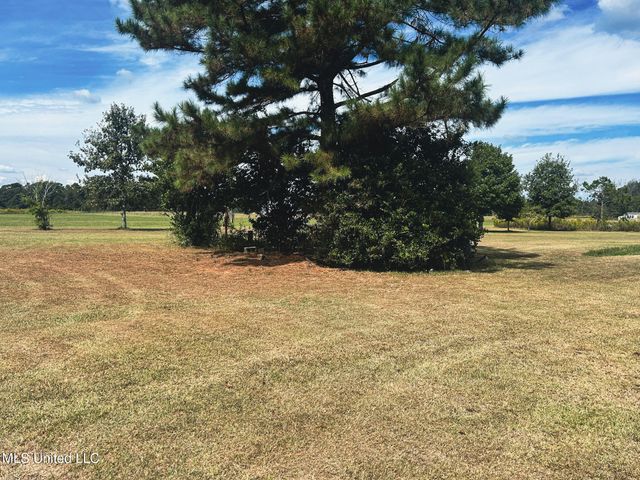 121 Old Progress Road, Moselle, MS 39459