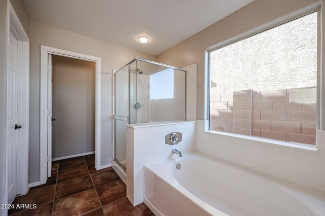 41208 W BRAVO Drive, Maricopa, AZ 85138