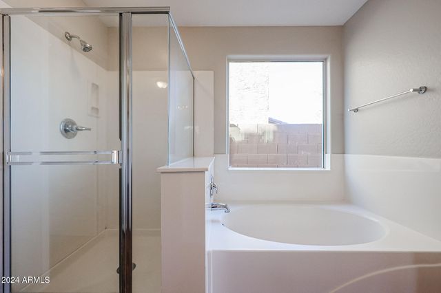 41208 W BRAVO Drive, Maricopa, AZ 85138