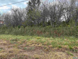 2.44 ac Alabama Highway 75, Ider, AL 35981