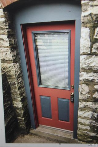 3809 Shenandoah Avenue Basement, St Louis, MO 63110