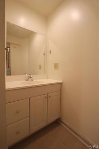 3809 Shenandoah Avenue Basement, St Louis, MO 63110