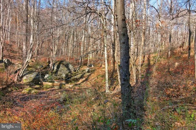 7170 BROOKS RD, Highland, MD 20777