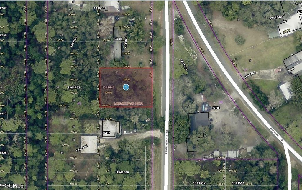 15-17-28-0100-021-00900 Pennsylvania ST, Paisley, FL 32767