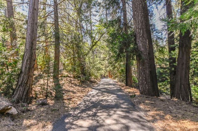 17884 Ruggles Ct, Pioneer, CA 95666