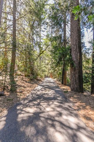 17884 Ruggles Ct, Pioneer, CA 95666