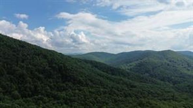 93 BEAR TRACK Trail, Morganton, GA 30560