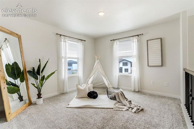 9138 Buffalo Bur Trail, Colorado Springs, CO 80925