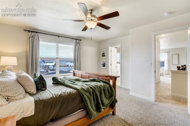 9138 Buffalo Bur Trail, Colorado Springs, CO 80925