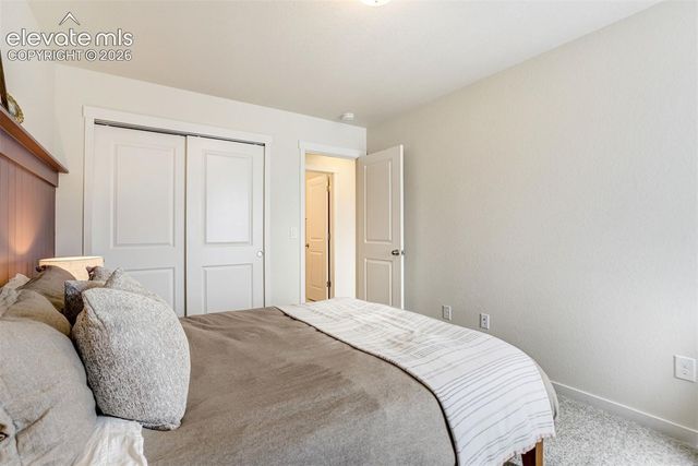 9138 Buffalo Bur Trail, Colorado Springs, CO 80925