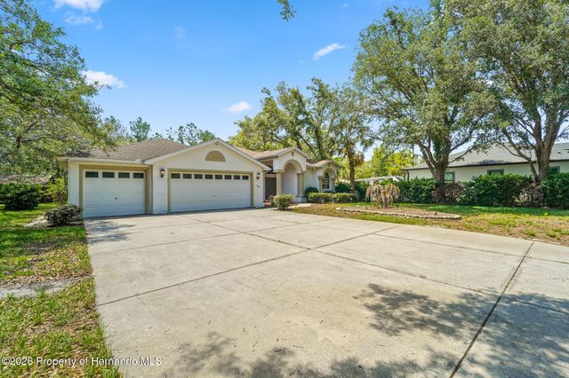 9183 Nightingale Road, Weeki Wachee, FL 34613