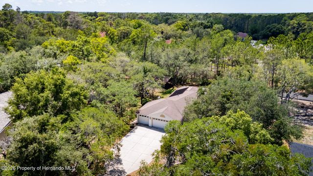 9183 Nightingale Road, Weeki Wachee, FL 34613