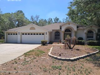 9183 Nightingale Road, Weeki Wachee, FL 34613