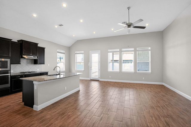 17216 Borromeo Ave, Pflugerville, TX 78660