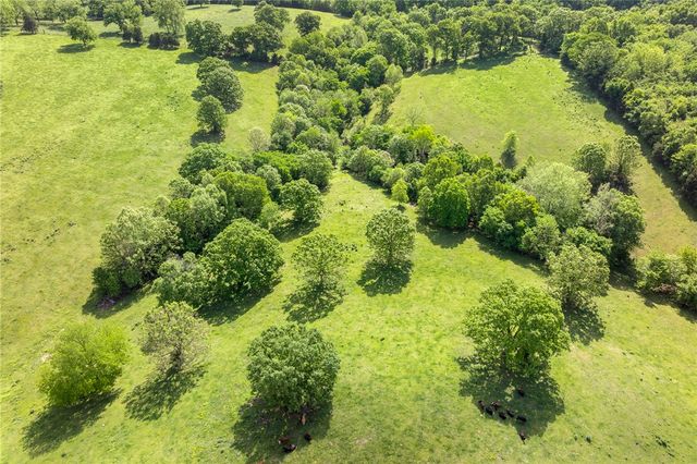 706 County Road 650, Green Forest, AR 72638