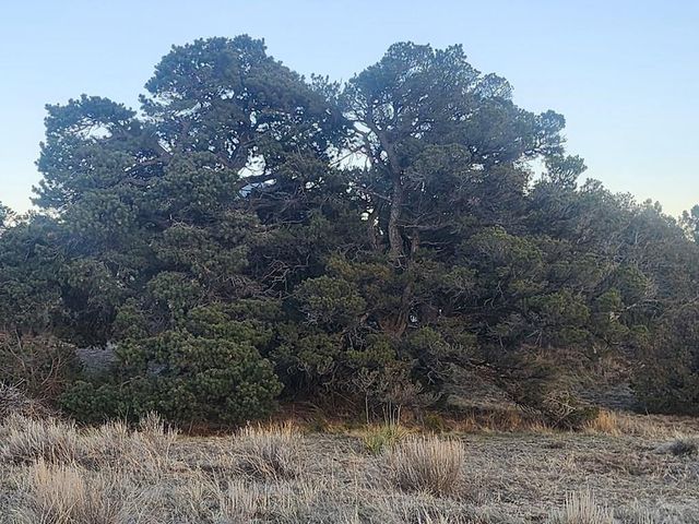 TBD Choctaw Dr, Walsenburg, CO 81089