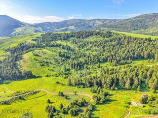 NHN Moose Meadows Road, Livingston, MT 59047