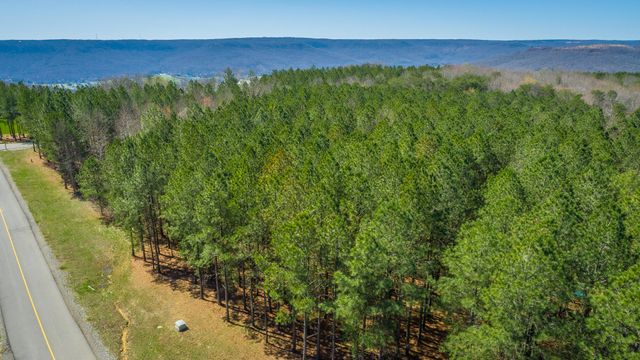 0 Boone Pass Jf181, Jasper, TN 37347