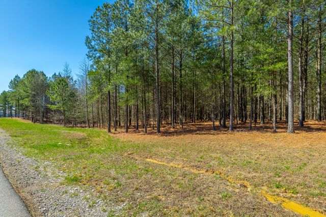 0 Boone Pass Jf181, Jasper, TN 37347