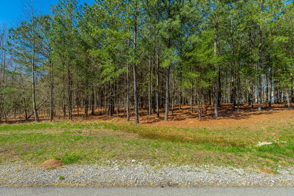 0 Boone Pass Jf181, Jasper, TN 37347