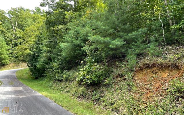 LOT 72 Fires Creek Cove, Hayesville, NC 28904