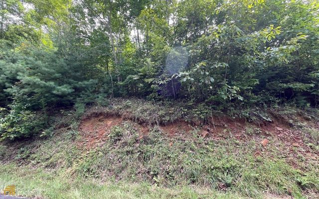 LOT 72 Fires Creek Cove, Hayesville, NC 28904