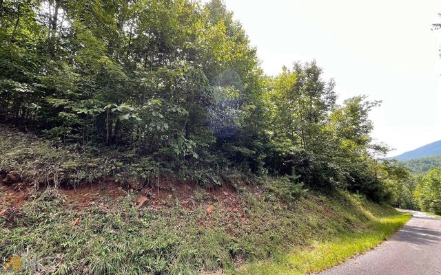 LOT 72 Fires Creek Cove, Hayesville, NC 28904