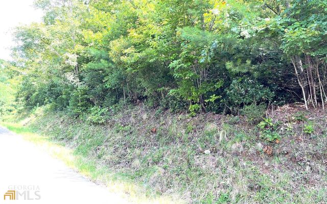 LOT 72 Fires Creek Cove, Hayesville, NC 28904