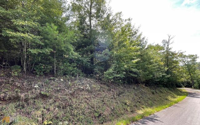 LOT 72 Fires Creek Cove, Hayesville, NC 28904