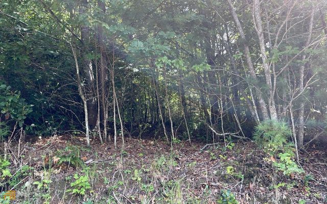 LOT 72 Fires Creek Cove, Hayesville, NC 28904