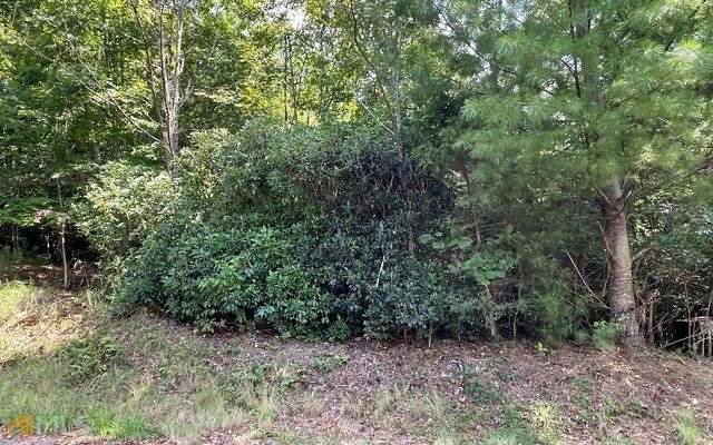 LOT 72 Fires Creek Cove, Hayesville, NC 28904