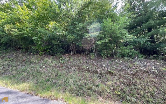 LOT 72 Fires Creek Cove, Hayesville, NC 28904