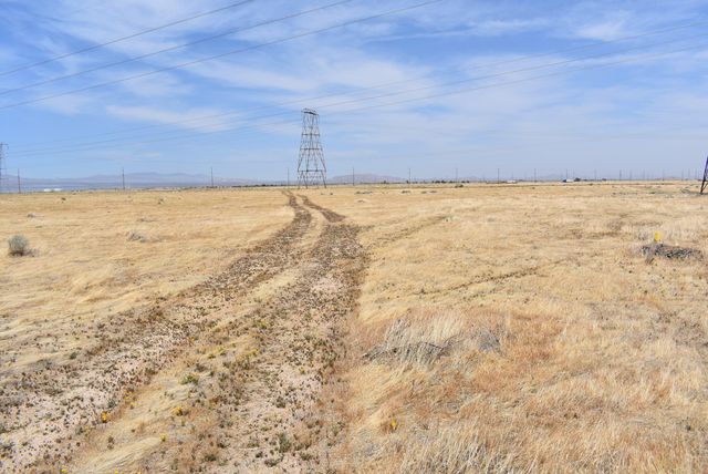 135th St W & Ave D4, Antelope Acres, CA 93536