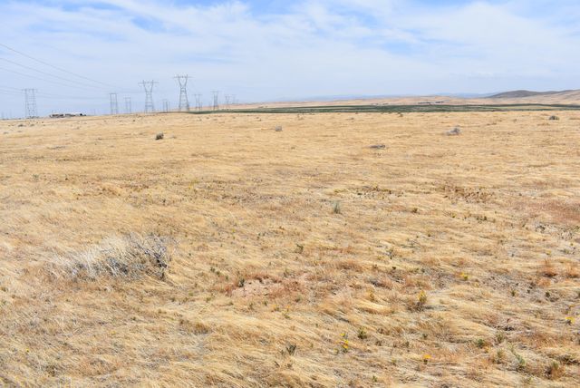 135th St W & Ave D4, Antelope Acres, CA 93536