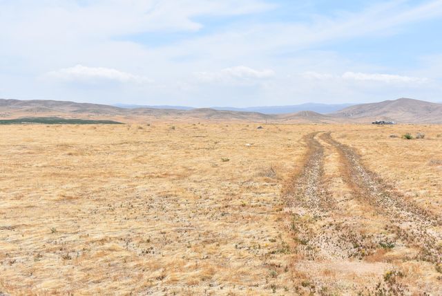 135th St W & Ave D4, Antelope Acres, CA 93536