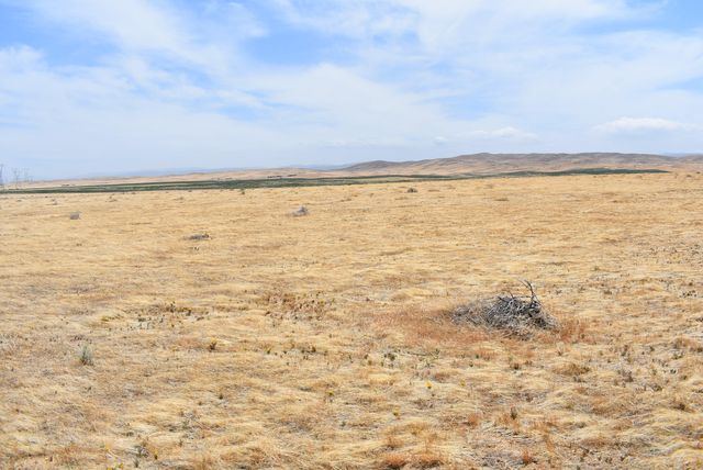 135th St W & Ave D4, Antelope Acres, CA 93536